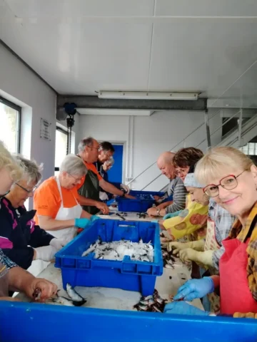 Fête de la Sardine 2024 - fete sardine locquemeau 2025 015