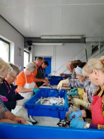 Fête de la Sardine 2024 - fete sardine locquemeau 2025 017