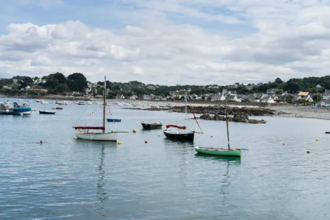 Fête de la Sardine 2024 - fete sardine locquemeau 2025 056