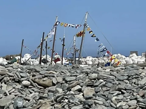 Fête de la Sardine 2024 - fete sardine locquemeau 2025 070