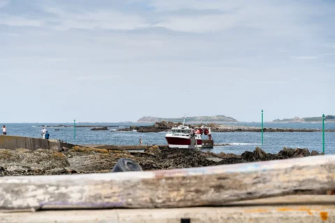 Fête de la Sardine 2024 - fete sardine locquemeau 2025 094