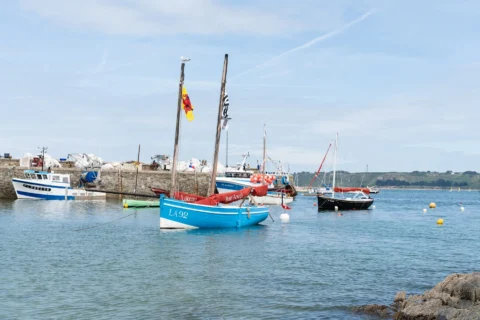 Fête de la Sardine 2024 - fete sardine locquemeau 2025 098
