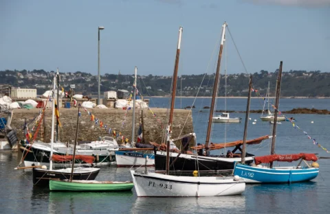 Flottille vieux greements à la Fête de la Sardine de Locquémeau.