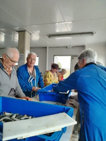 Fête de la Sardine 2024 - fete sardine locquemeau 2025 112