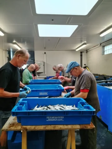 Fête de la Sardine 2024 - fete sardine locquemeau 2025 121