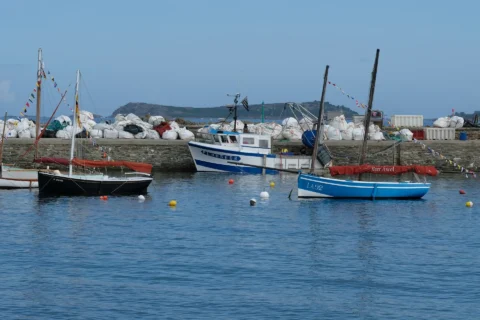 Fête de la Sardine 2024 - fete sardine locquemeau 2025 125