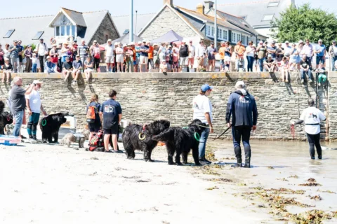 Fête de la Sardine 2024 - fete sardine locquemeau 2025 155