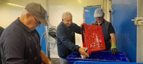 Fête de la Sardine 2024 - fete sardine locquemeau 2025 172