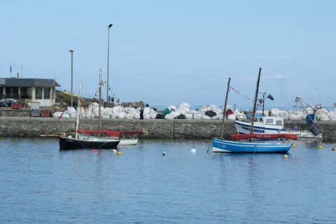 Fête de la Sardine 2024 - fete sardine locquemeau 2025 192