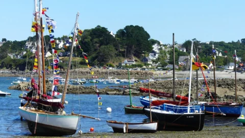 Fête de la Sardine 2024 - fete sardine locquemeau 2025 218