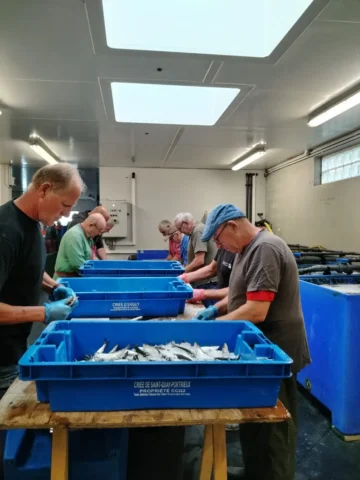 Fête de la Sardine 2024 - fete sardine locquemeau 2025 219