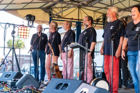 Fête de la Sardine 2024 - fete sardine locquemeau 2025 221