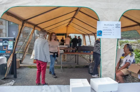 Fête de la Sardine 2024 - fete sardine locquemeau 2025 225