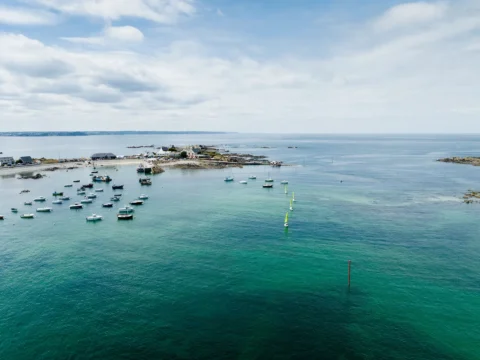 Fête de la Sardine 2024 - fete sardine locquemeau 2025 226