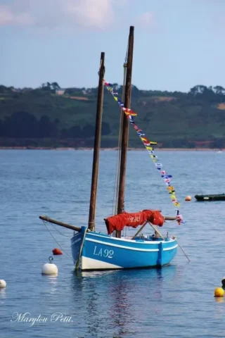 Fête de la Sardine 2024 - fete sardine locquemeau 2025 227