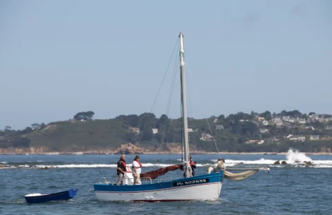 Fête de la Sardine 2024 - fete sardine locquemeau 2025 231
