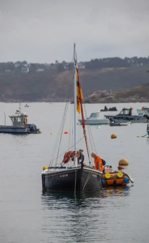 Fête de la Sardine 2024 - fete sardine locquemeau 2025 254